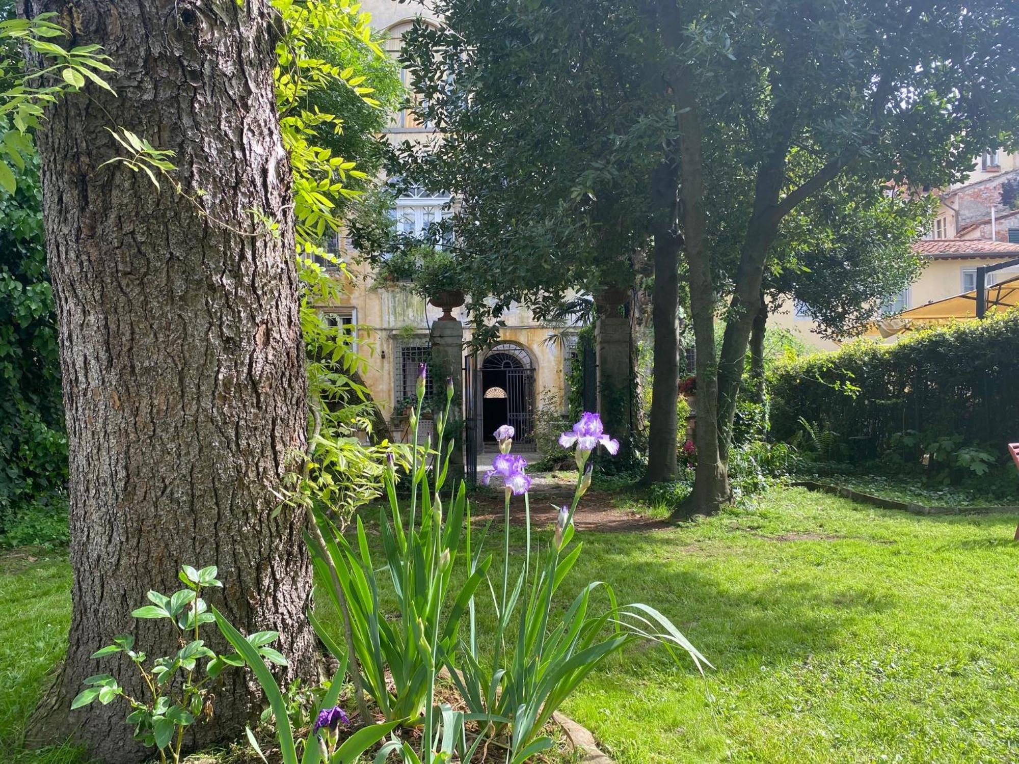 Corte Meraviglia - Relais Lucca Bagian luar foto